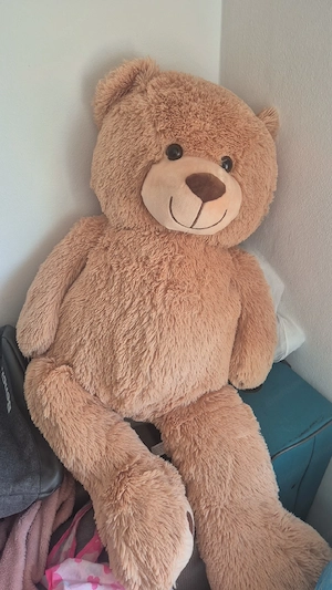 for free bear