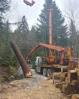 Forstarbeiten   Holzschlägerung   Baumfällung Bild 3