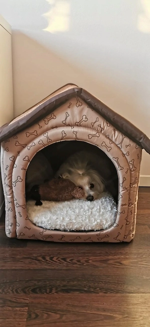 Artikel: Premium dog cave cat cave dog bed dog house dog house 52x46x53 CHOICE OF COLOR Hochwertiger Bild 3