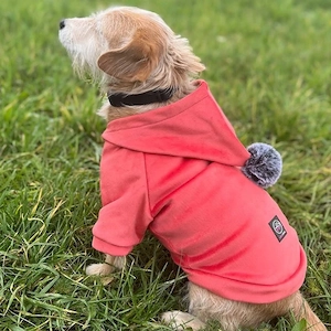Artikel: Handmade SWEATSHIRT dog jacket dog hoodie WELUR clothing COLOR CHOICE Hochwertiger Artikel  Bild 7