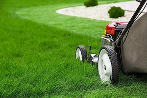 Gartenhilfe   Gartenservice  Bild 2