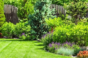 Gartenhilfe   Gartenservice  Bild 3