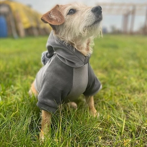 Artikel: Handmade SWEATSHIRT dog jacket dog hoodie WELUR clothing COLOR CHOICE Hochwertiger Artikel  Bild 8