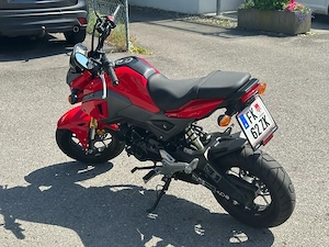 Honda MSX 125  Bild 7