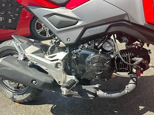 Honda MSX 125  Bild 6