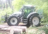 Forstarbeiten   Holzschlägerung   Baumfällung Bild 7
