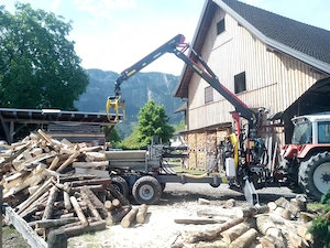 Brennholz spalten   Forstarbeiten
