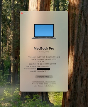 Apple MacBook Pro 15" 2019 | i9 8-Core | 16 GB RAM | 512 GB SSD | Top Zustand