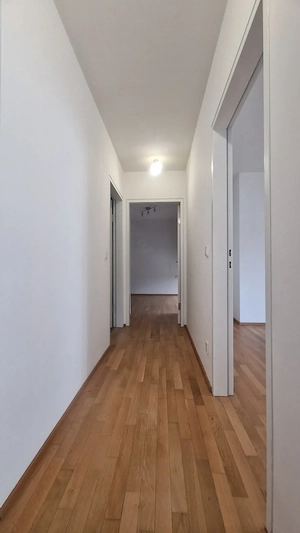 Moderne 3-Zimmer-Wohnung mit 2 Terrassen in zentraler Lage in Schwarzach Bild 3