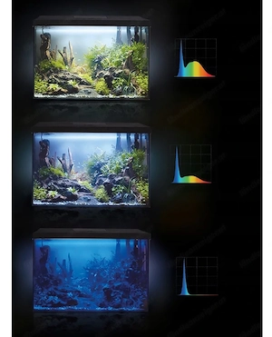 SALE Aquarium Starter Set 72l mit Filter Heizstab etc. XXXXL Starter Set Bild 5