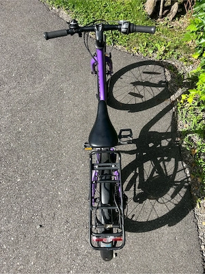 Naloo Fahrrad 20 Zoll Bild 5
