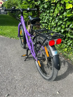 Naloo Fahrrad 20 Zoll Bild 2