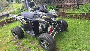 Quad Aeon Cobra 350ccm Bild 2