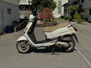 Sym Fiddle II 50S (50ccm) Bild 2