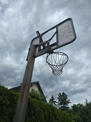 Basketball korb höhenverstellbar Bild 3