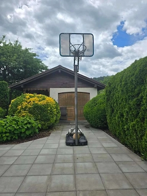 Basketball korb höhenverstellbar Bild 5