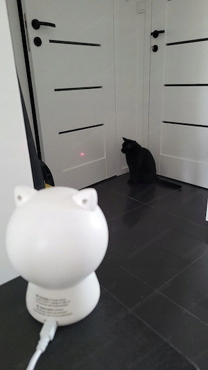 Artikel: Tesla Smart Laser Cat Buddy Cat Toy Hochwertiger Artikel aus unserem Online-Shop Bild 5