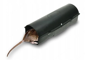 Artikel: 20x Rat Bait Trap Mice Pad Rat Bait Fighting Highly Effective Hochwertiger Artikel aus unse Bild 4