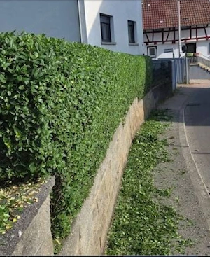 gartenarbe ten Bild 2