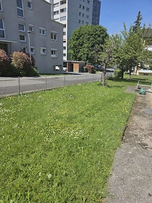 Suche sie einen preisgünstigen Gärtner Bild 3
