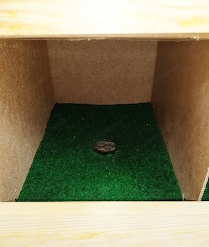 Haus Huehner Nest fuer Legehennen mit Matte 4 Plaetze Zellen integrierter Ei Ablage Huhn Bild 5
