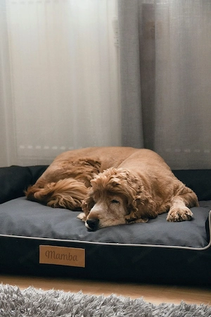 Design Handmade Hundebett Hundekissen Sofa Hundesofa Tierbett Katzenbett Hundekorb Schlafplatz mit N Bild 7