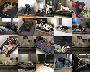 Design Handmade Hundebett Hundekissen Sofa Hundesofa Tierbett Katzenbett Hundekorb Schlafplatz mit N Bild 5