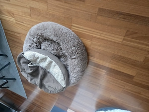 HUNDEBETTEN 2 Stück zu verschenken  Bild 2