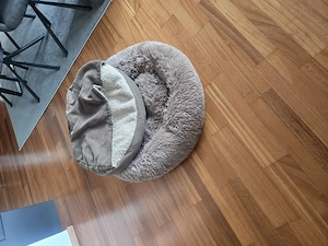 HUNDEBETTEN 2 Stück zu verschenken 