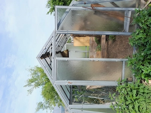 Gewächshaus Glashaus  Bild 3