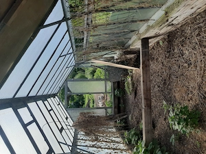 Gewächshaus Glashaus 