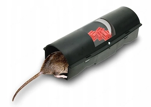 Artikel: 3kg rat bait, 3 traps, pliers, 5x adhesive traps, 3x bait station, mice pad, rat bait, rat  Bild 5