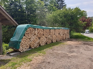 Brennholz Hart  Bild 3