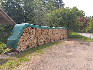 Brennholz Hart  Bild 2