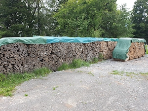 Brennholz Hart  Bild 4