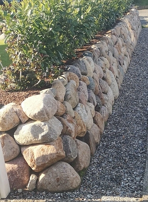 Artikel: Boulders 1000 kg Nordic 20-30cm natural stones Friesenwall stones Hochwertiger Artikel aus  Bild 3