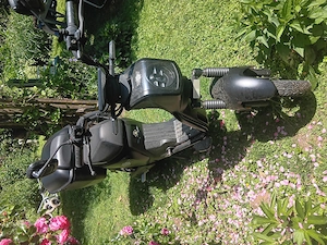 E-Roller EB 250 Erstbesitz wie neu Bild 2