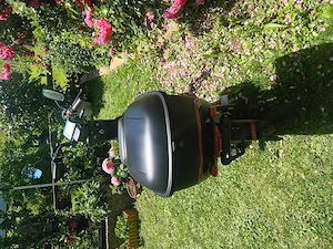 E-Roller EB 250 Erstbesitz wie neu Bild 3