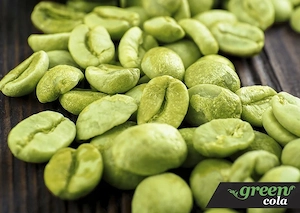 Artikel: 24 Dosen 0 33l Green Cola Stevia Koffein Zuckerfrei Hochwertiger Artikel aus unserem Online Bild 3