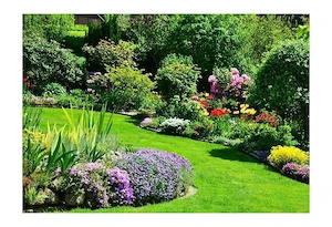 Artikel: Bed border complete SET XXXL 20m Hochwertiger Artikel aus unserem Online-Shop Bild 3