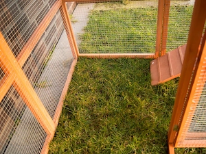 Artikel: Chicken cage chicken coop rabbit hutch wooden cage small animal coop rodent cage chicken Ho Bild 5