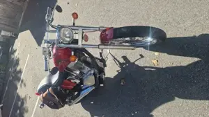 Suzuki LS650 Savage Bild 3