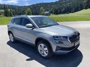 Skoda Karoq Bild 4