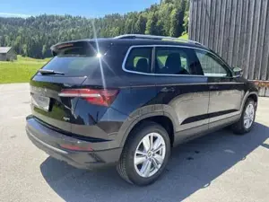 Skoda Karoq Bild 3