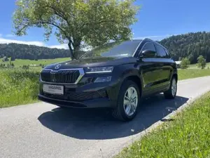Skoda Karoq Bild 8