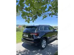 Skoda Karoq Bild 9