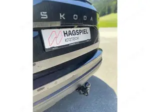 Skoda Karoq Bild 6