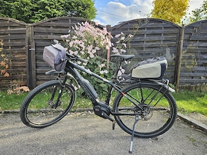 Trek Ebike Powerfly+7 mit zwei Akkus