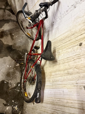 Herren und Kinderfahrrad Bild 4
