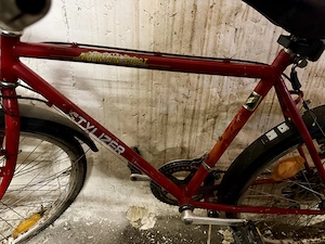 Herren und Kinderfahrrad Bild 2